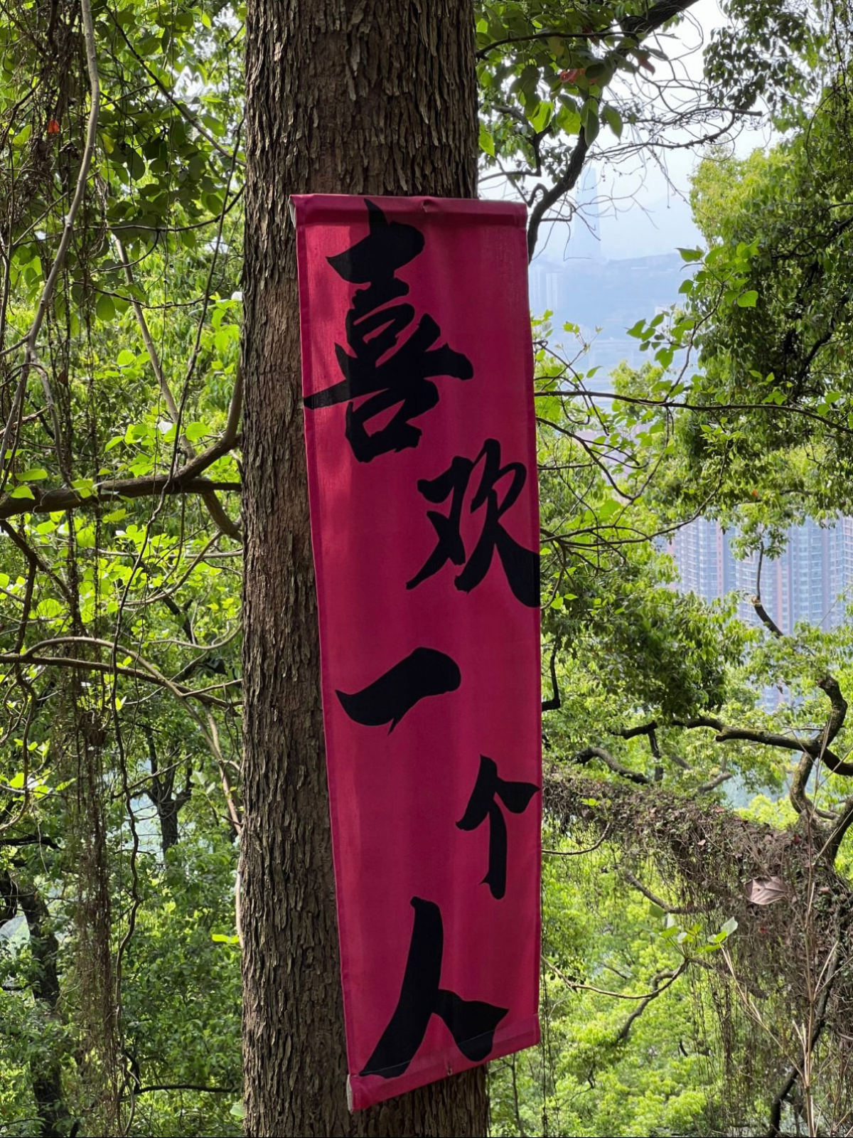重庆实拍图