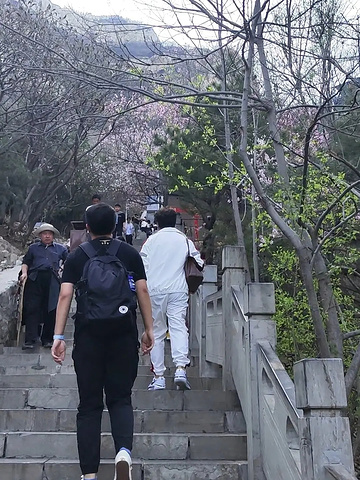 "鹿泉抱犊寨风景区： 古韵与自然的完美融合_石家庄市鹿泉抱犊寨风景区"的评论图片