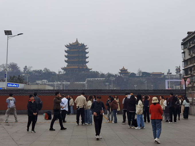一花一世界 一木一浮生 （2024年3月武汉赏樱之旅）-武汉旅游攻略-游记-去哪儿攻略