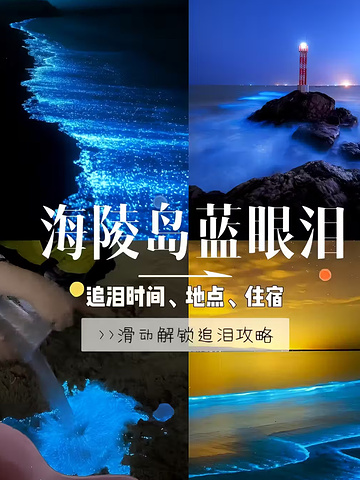 "海陵岛蓝眼泪爆发期来了！追泪攻略请收 下！_海陵岛"的评论图片