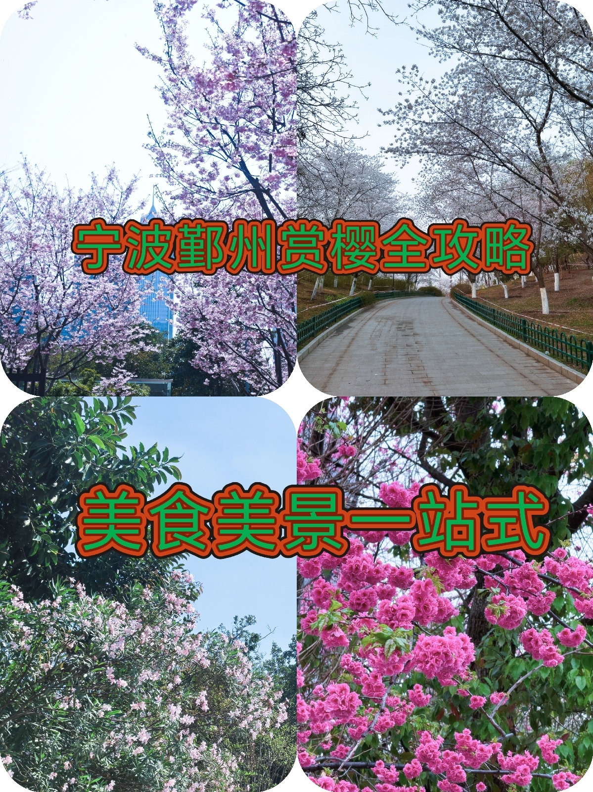 宁波鄞州公园绿道实拍图