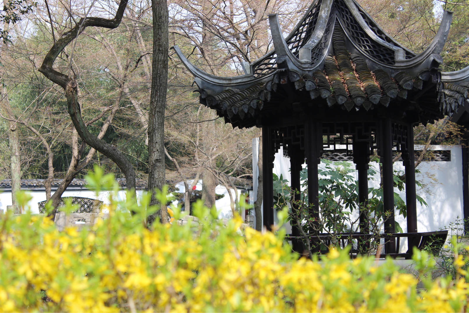 南通狼山广教禅寺实拍图