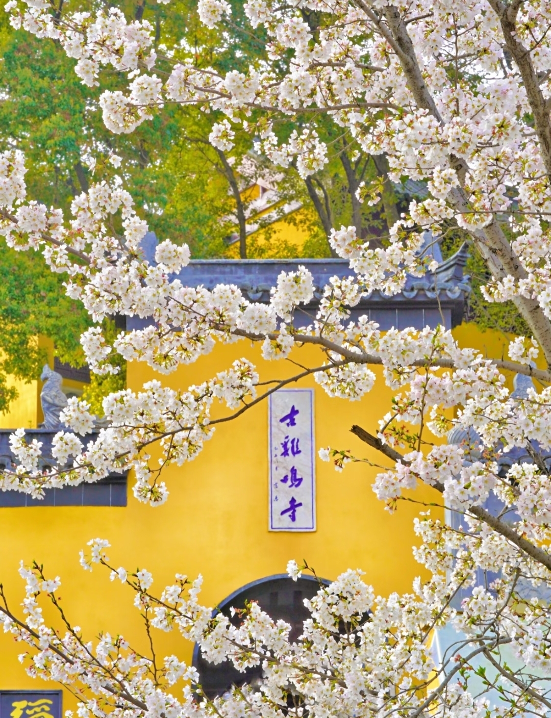 南京古鸡鸣寺-三圣殿实拍图