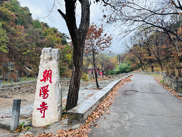 "人少景美的小众目的地_灵慧山"的评论图片