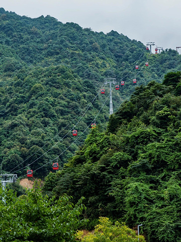 "葛仙村的烟雨朦胧，美得令人窒息_葛仙村度假区"的评论图片