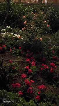 阿尔忒弥斯神庙旅游景点攻略图