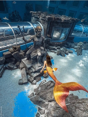 "浪漫潜水：在大理海洋世界体验与鱼共舞_大理海洋世界"的评论图片