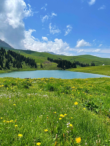 "要我说，唐布拉仙女湖才是伊犁第一❗️附攻略_唐布拉风景区"的评论图片