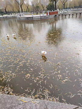 西安站旅游景点攻略图