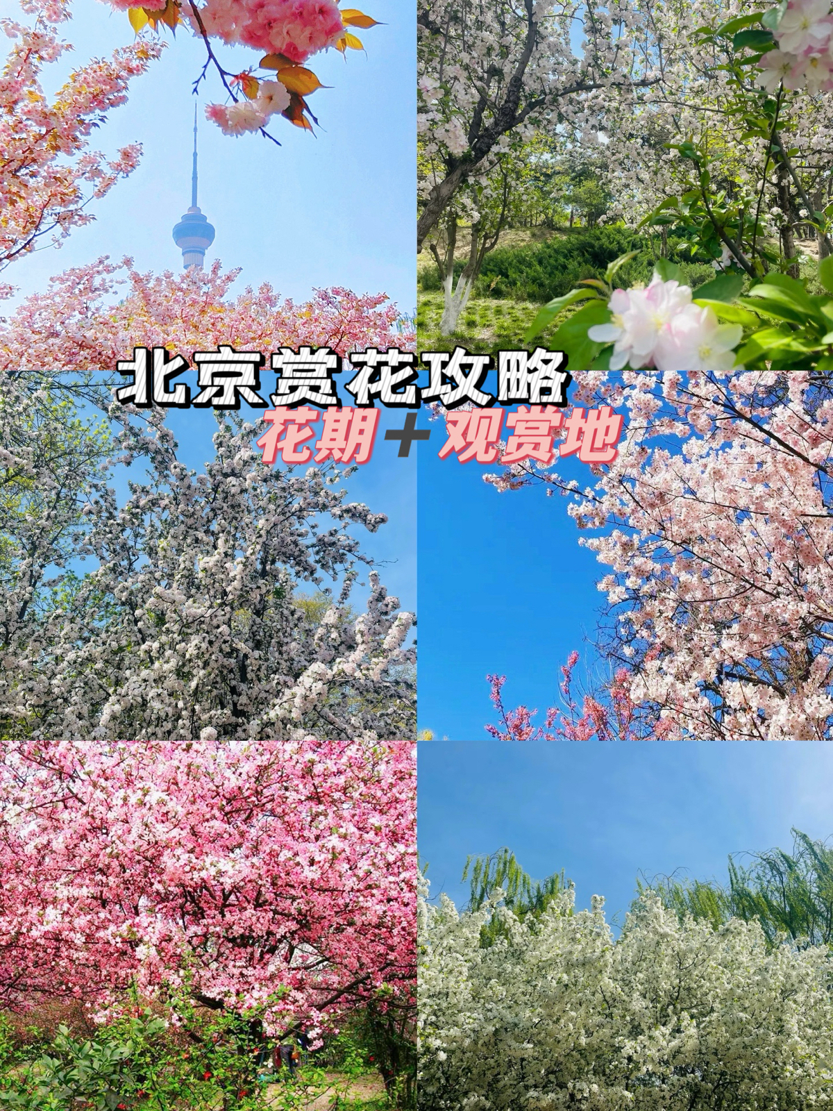 北京玉渊潭公园实拍图