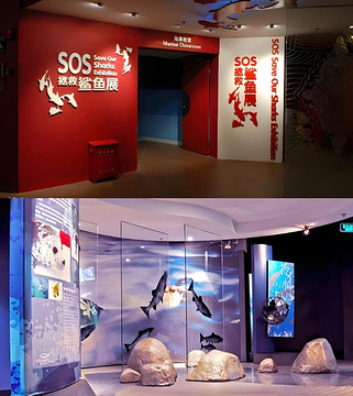 上海海洋水族馆旅游景点攻略图