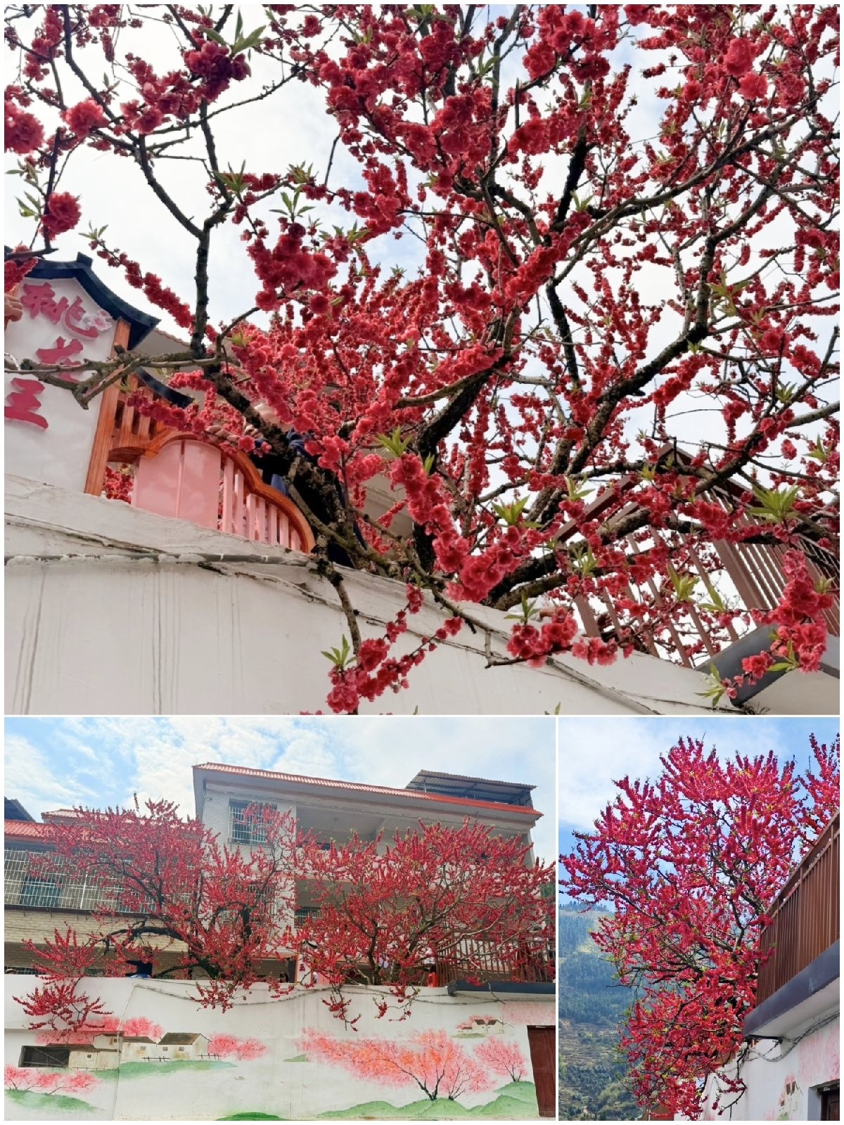 乐昌九峰山实拍图