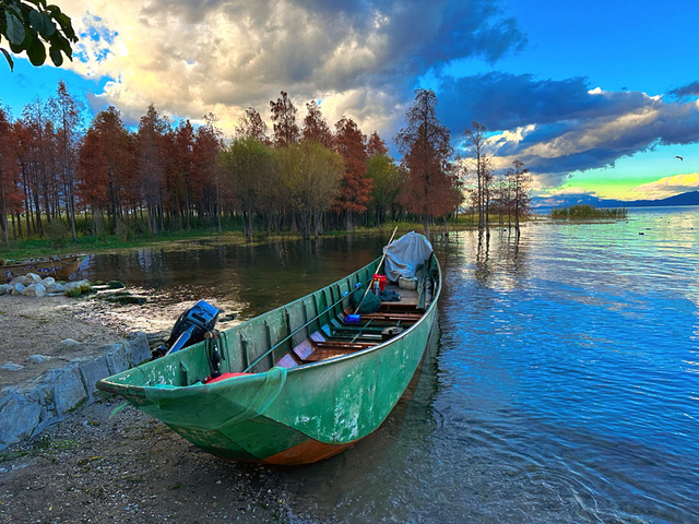 "...赏日出美景，喂海鸥，游客有些多，很多旅拍摄影机构占据着很好的拍照位置，一些好机位都还要排队拍照_龙龛村"的评论图片