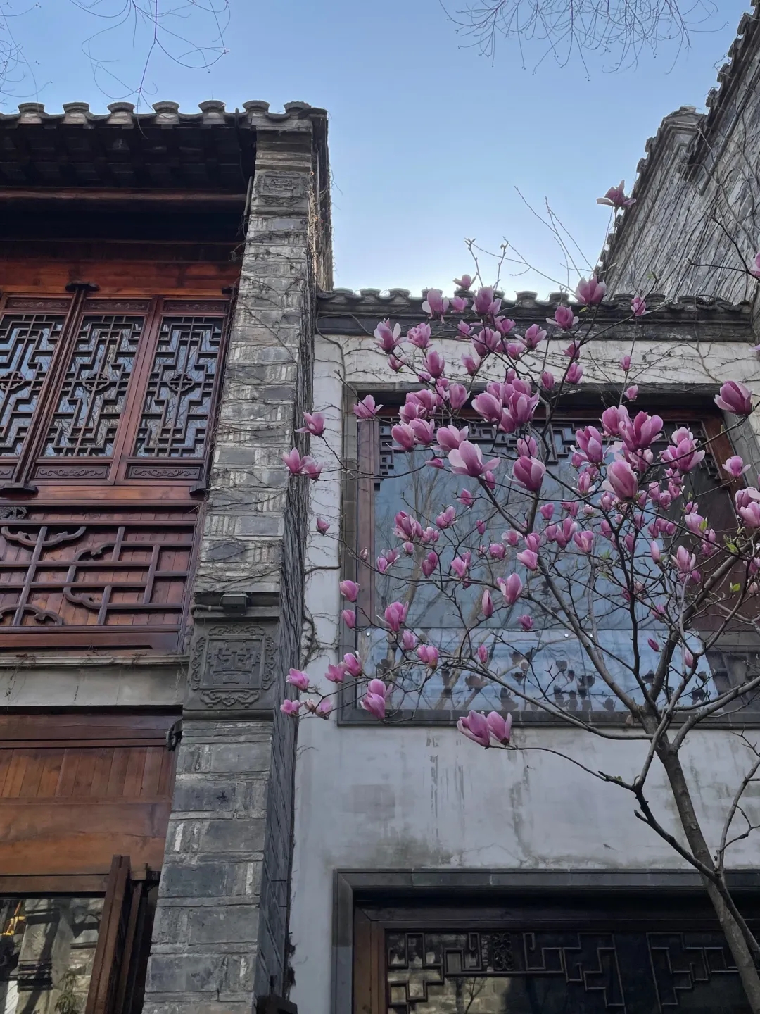 南京芥子园实拍图