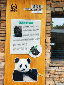 成都大熊猫博物馆旅游景点攻略图