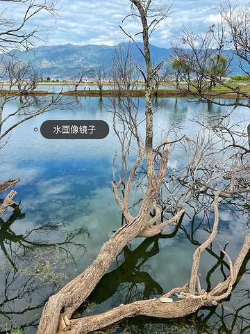 "云南旅游| 绝美小众景点🧚🏻‍♀️鹤庆黄龙潭_黄龙潭"的评论图片