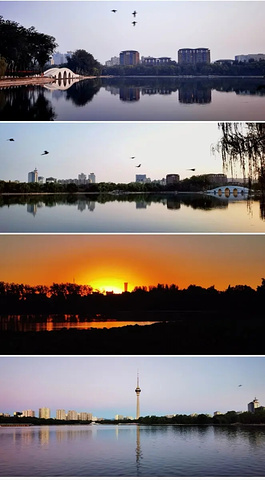 "玉渊潭公园夜游，体验不一样的北京夜色魅力！_玉渊潭公园"的评论图片
