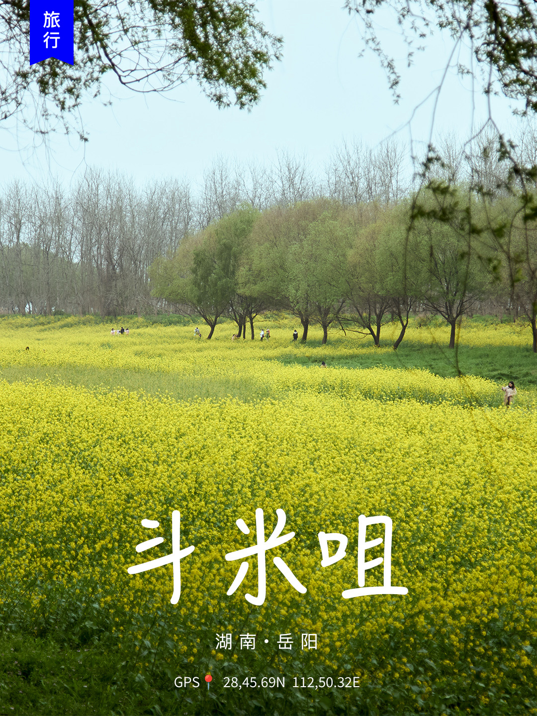 湘阴斗米咀实拍图