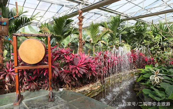 "春暖花开的呀路古：热带植物的世界之旅_呀路古热带植物园"的评论图片