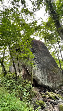 松阴溪景区旅游景点攻略图
