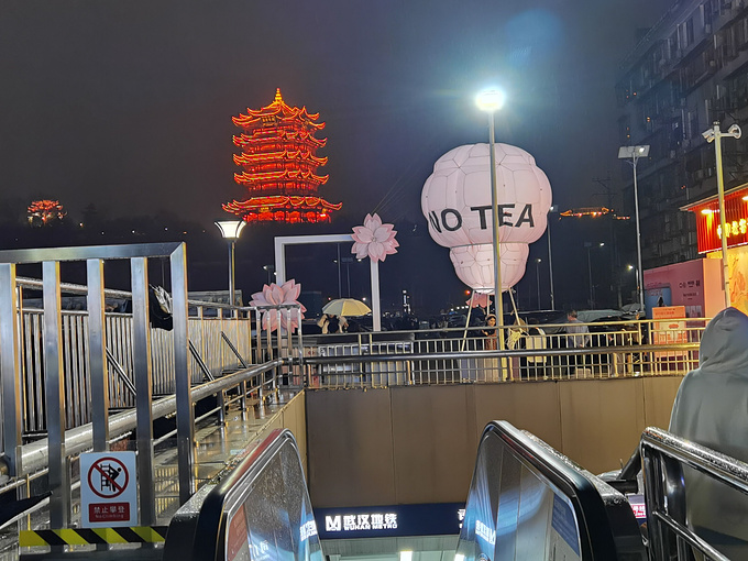 一花一世界 一木一浮生 （2024年3月武汉赏樱之旅）-武汉旅游攻略-游记-去哪儿攻略