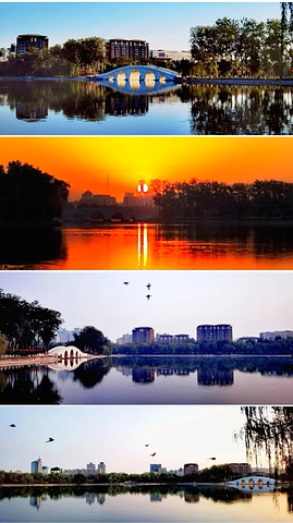 "玉渊潭公园夜游，体验不一样的北京夜色魅力！_玉渊潭公园"的评论图片