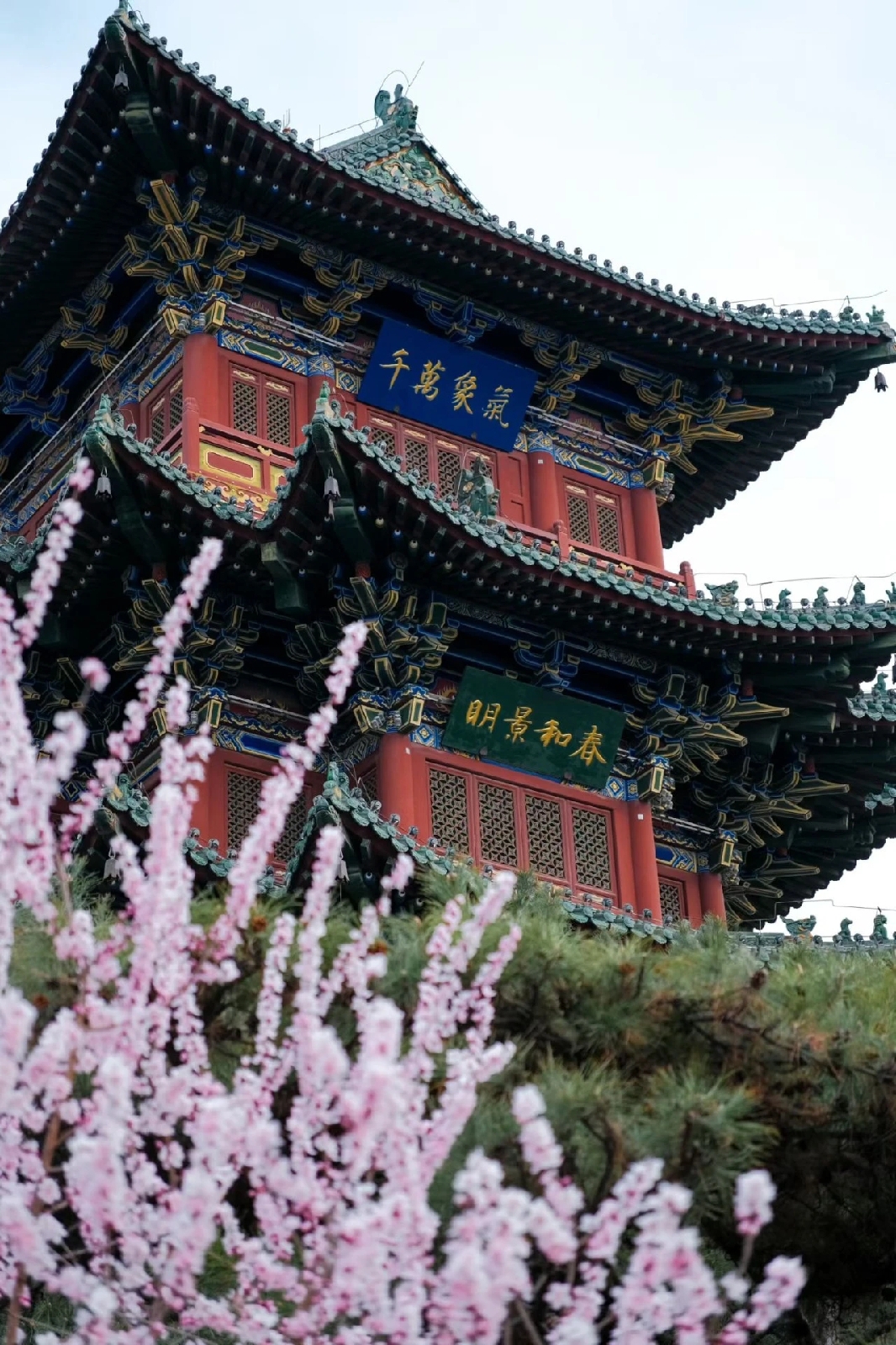 太原学府公园实拍图