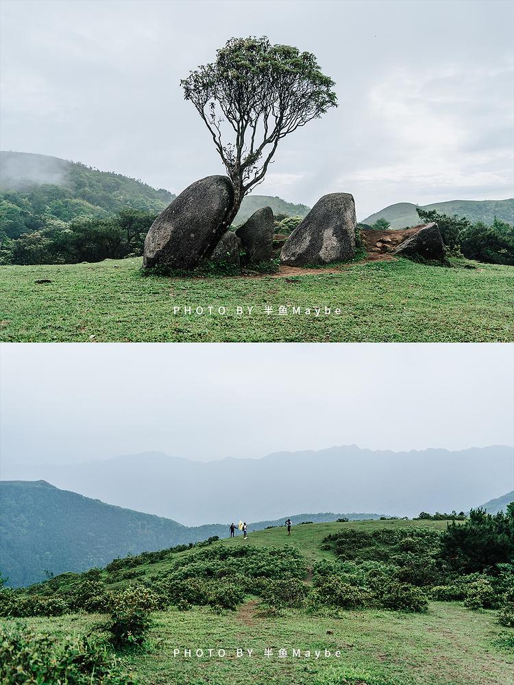 罗定八排山实拍图6