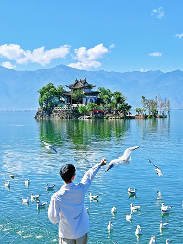 "人生建议：环洱海，一定要留一天给海东_洱海"的评论图片