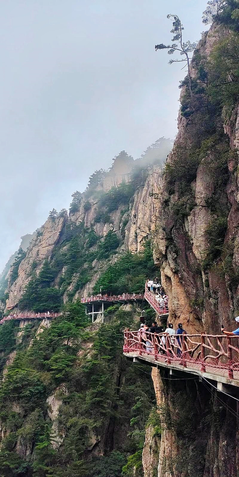 郑州河南博物院实拍图