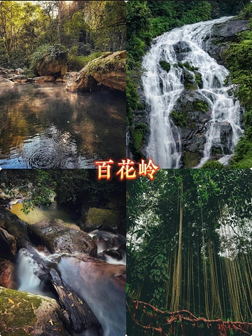 "广西崇左旅游攻略_崇左太平古城"的评论图片