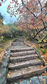 香山公园旅游景点攻略图