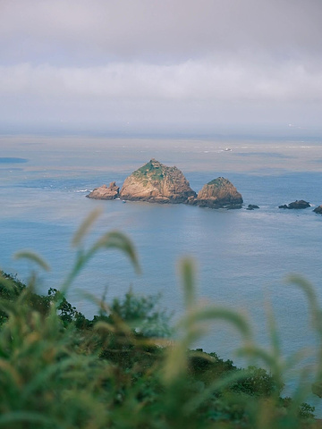 "夏日国内小众海岛探秘🏝 远离尘嚣的枸杞岛之旅🌊_枸杞岛"的评论图片