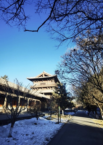 "善化寺_善化寺"的评论图片