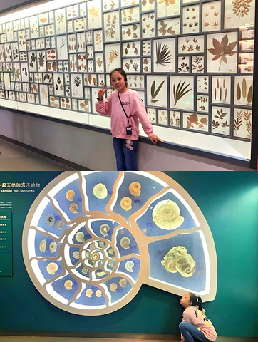 "北京自然博物馆：打开自然之门的钥匙_国家自然博物馆"的评论图片