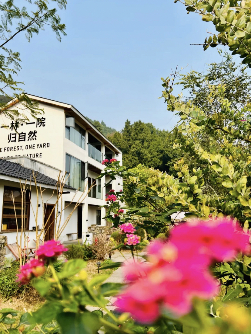 重庆林涧小院实拍图