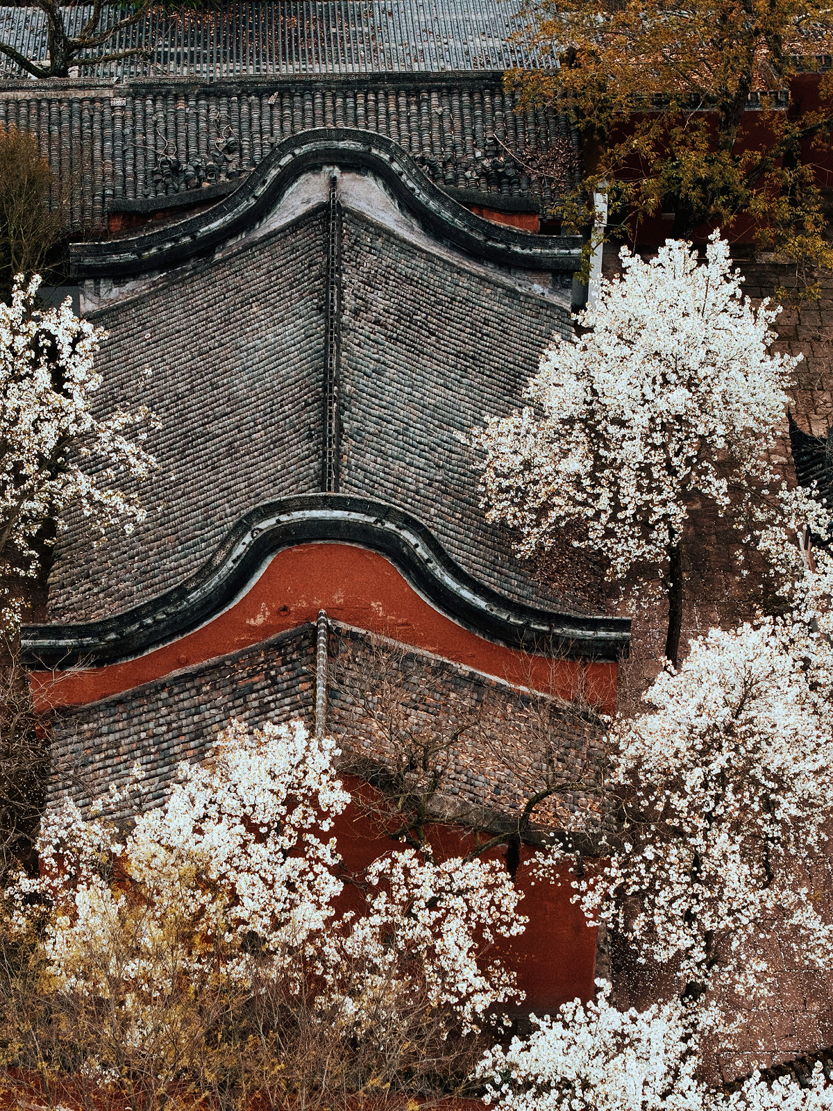 德阳鹡鸰寺实拍图6