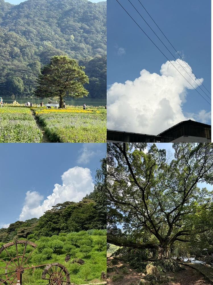 广州石门国家森林公园实拍图