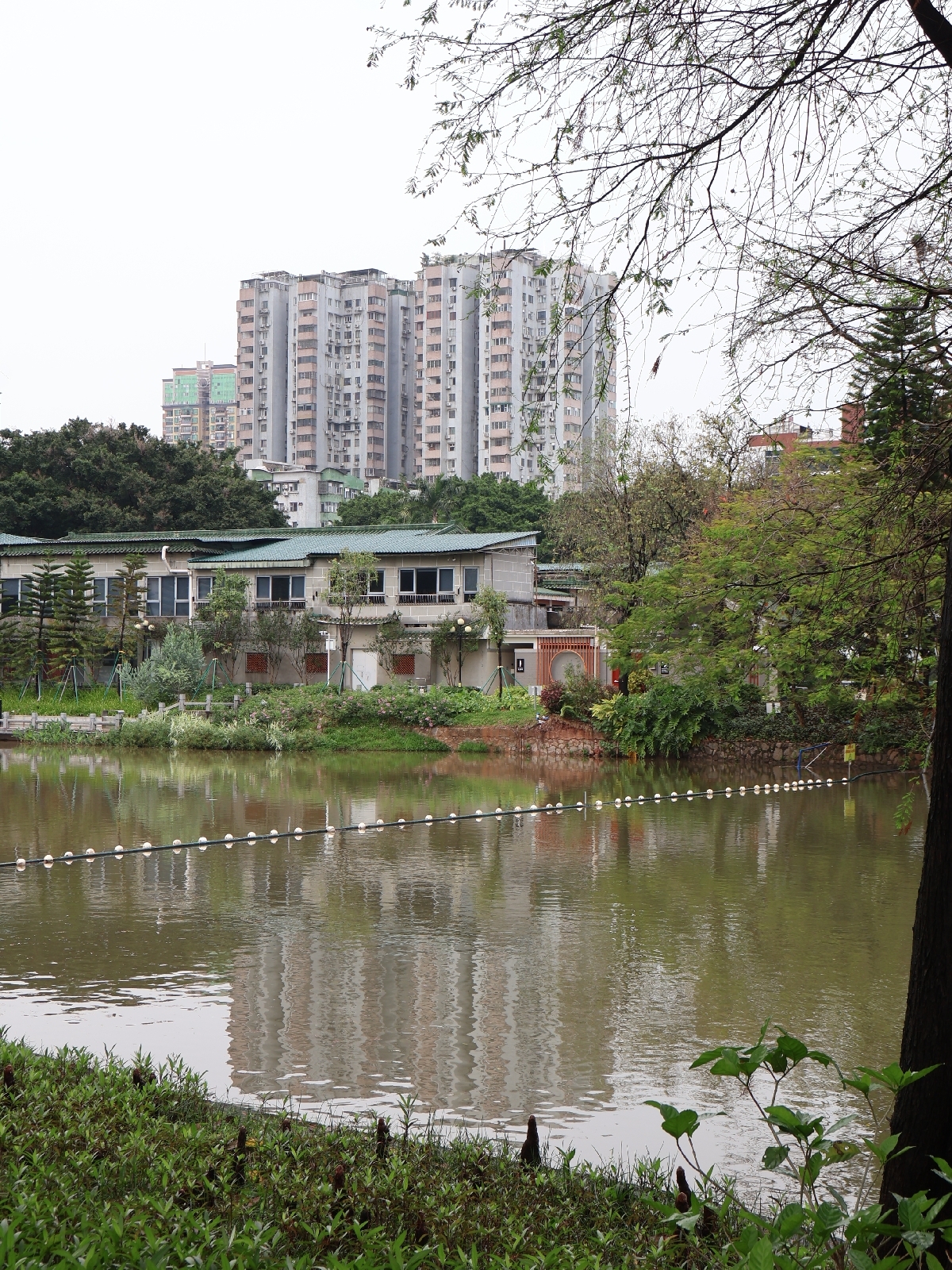广州东山湖公园实拍图