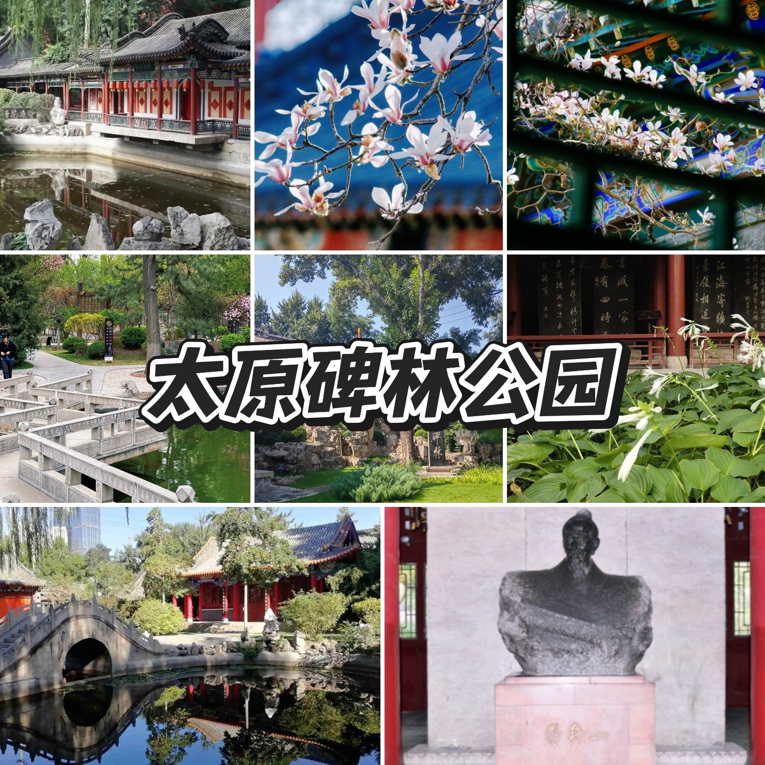 太原碑林公园实拍图