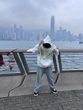 维多利亚港旅游景点攻略图