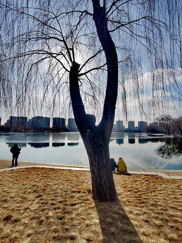 "玉渊潭公园：一个让你忘却都市喧嚣、沉醉自然怀抱的地方。_玉渊潭公园"的评论图片