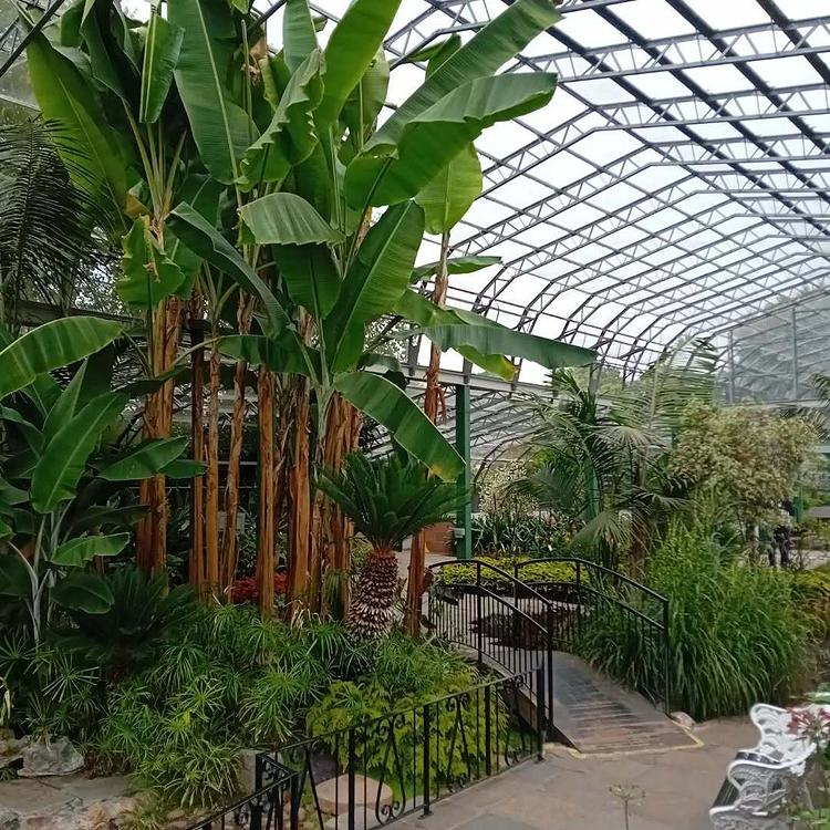阿伯丁植物园实拍图4