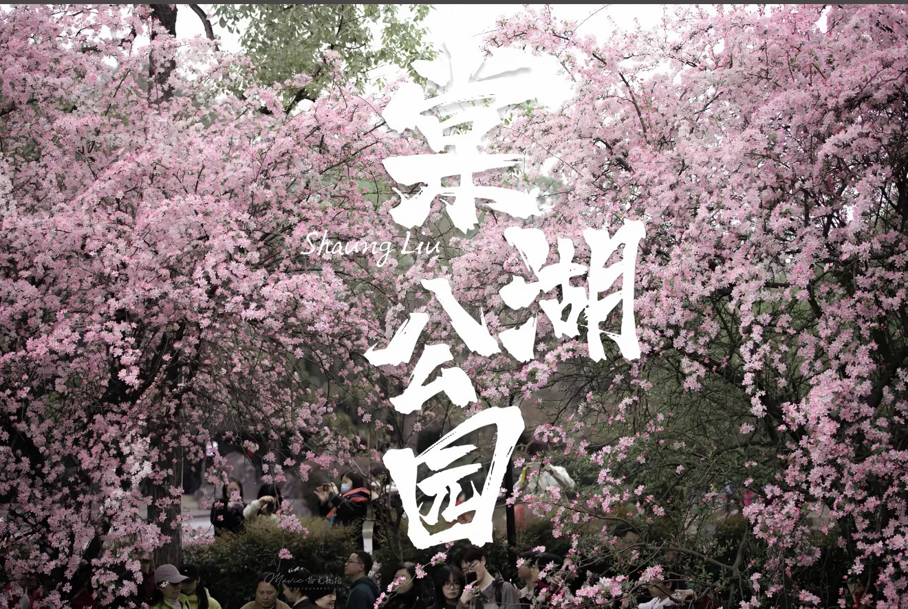 成都棠湖公园实拍图