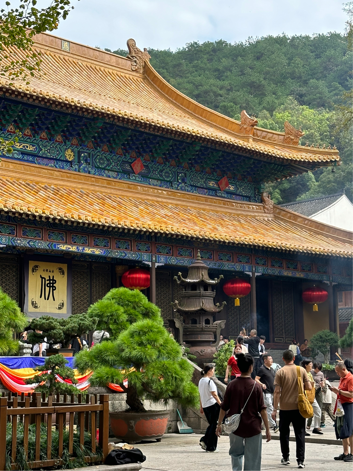 舟山法雨寺实拍图