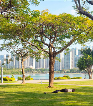 白鹭洲公园旅游景点攻略图