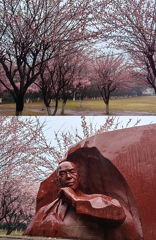 "玩转七星公园，get桂林旅行新玩法！_七星景区"的评论图片