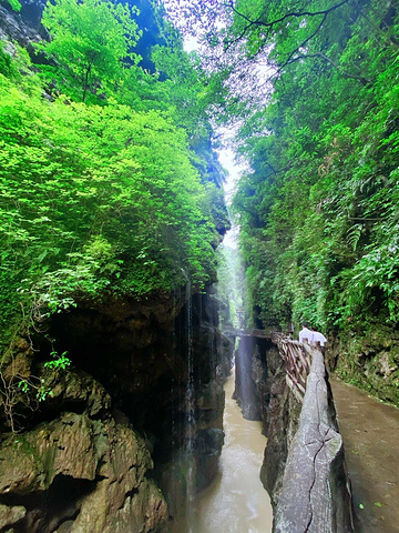 "贵州铜仁大峡谷：地质奇观与生态宝库的完美结合_铜仁大峡谷"的评论图片