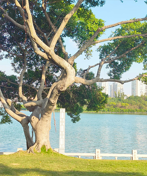 白鹭洲公园旅游景点攻略图