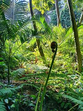 厦门园林植物园旅游景点攻略图
